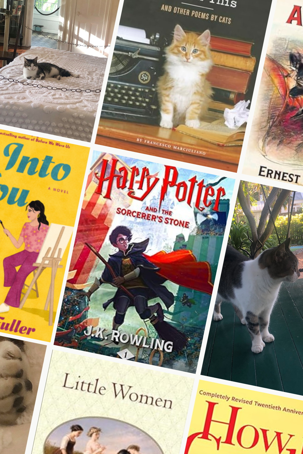 Ten Confessions of a Book&nbsp;Lover