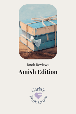 Clean Romance Book Reviews: Amish&nbsp;Edition