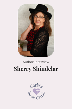 Texas Divided by Sherry Shindelar: Author Interview
