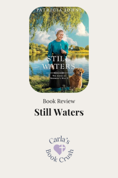 Amish Romance Book Review: Still Waters By Patricia&nbsp;Johns