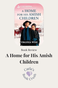 Book Review: A Home for His Amish Children by Virginia Wise