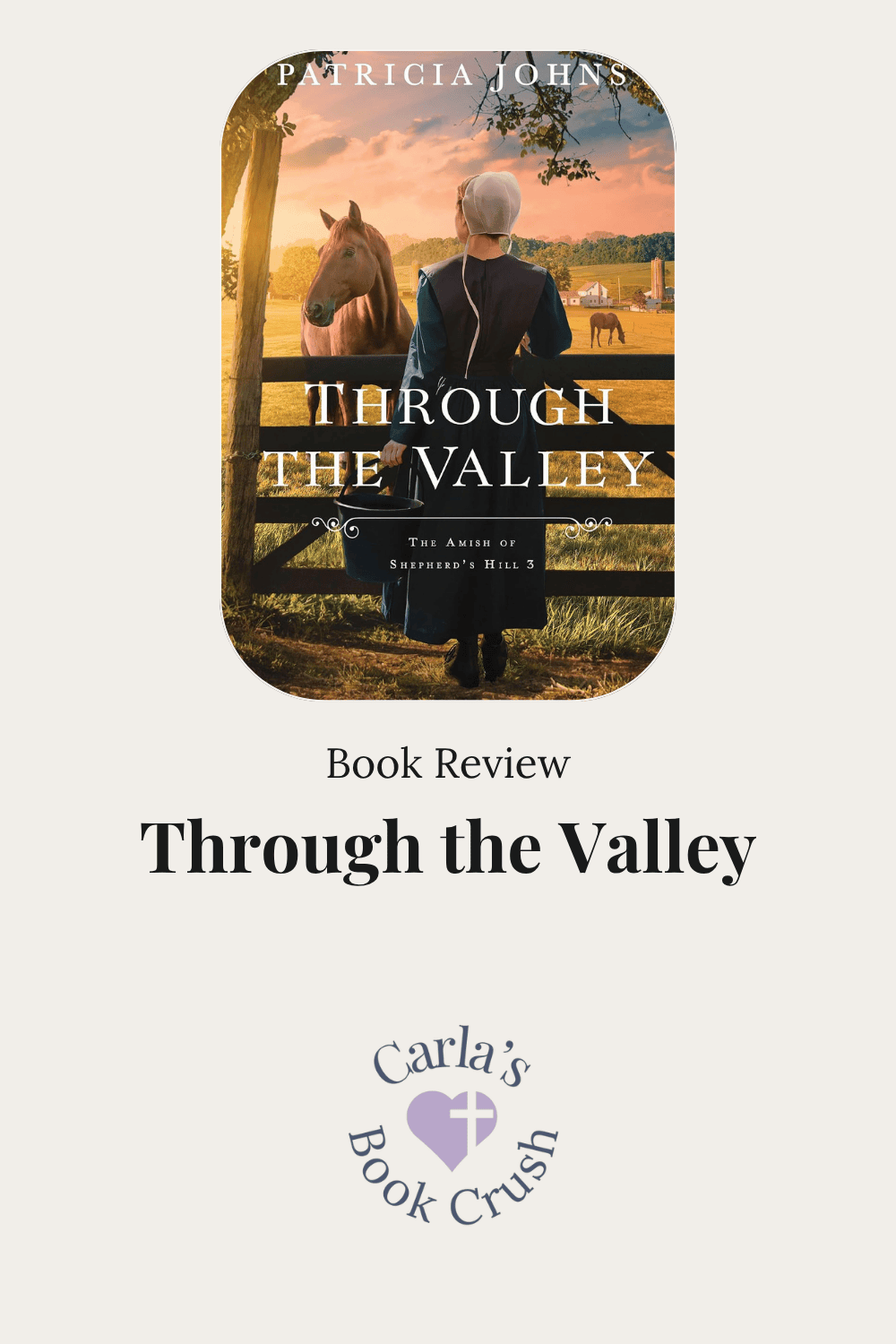 Book Review: Through The Valley by Patricia Johns